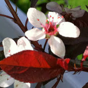 Kim Ginther's photo