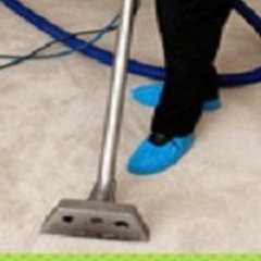 Carpet Cleaning The Woodlands Texas