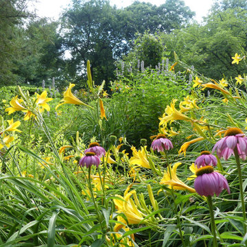 Garage Hillside plantings using lots of native plants