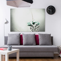 Grayscape - Products