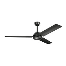 Ceiling Fans