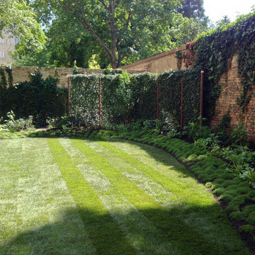 Backyardgarden