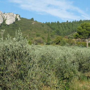 Un Mas dans Les Alpilles