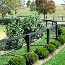 Gairsay garden