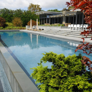 Infinity Edge, Negative Edge, Vanishing Edge and Rimless Pools