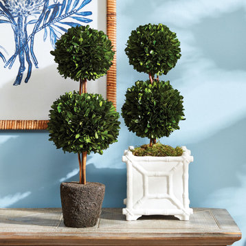 Boxwood Double Sphere Topiary Drop-In, 20"