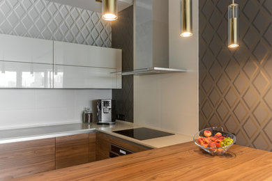 Inspiration for a contemporary kitchen remodel in Other