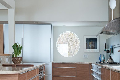 Kitchen - contemporary kitchen idea in Burlington