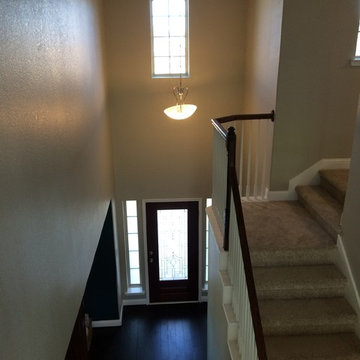 ProTect Painters: Hard to Reach Areas