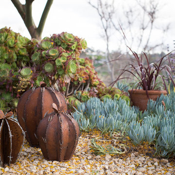 Xeriscape Landscape  - Lush Green with Low-Water Plants