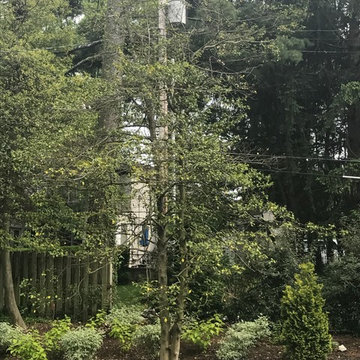 Glendale Landscaping