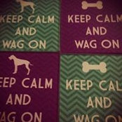 Mo Leahy's photo