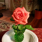 Ellen Smith's photo