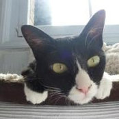 Sara Webb's photo
