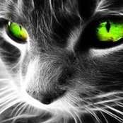 Nancy Kramer's photo