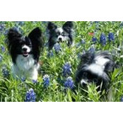 Shelley Karber's photo