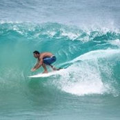Francois Sneeden's photo