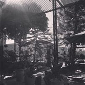 Trinh Trinh's photo