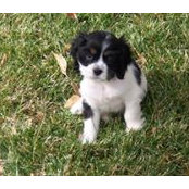 Patty Spaniel's photo