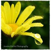 Joanne Ritchies foto