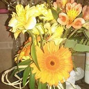 Tracy Riggs Campbell's photo