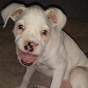 Aiden Amaya's photo