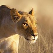 Jillian Duncan's photo