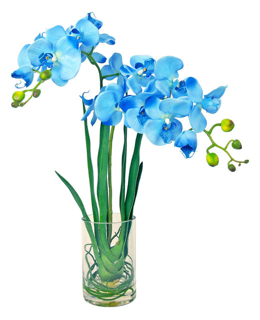 Blue Orchids - Contemporary - Artificial Flower Arrangements - by