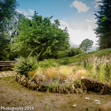 LANDSCAPE IDEAS