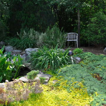 Miscellaneous Portfolio