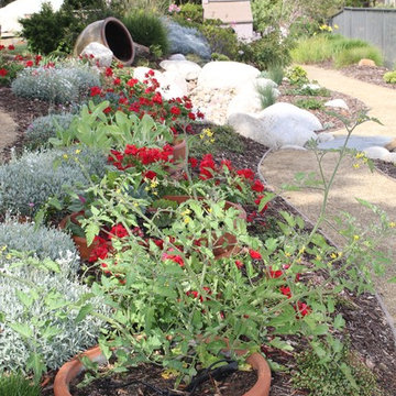 Del Mar Turf Removal & Water Wise Landscape