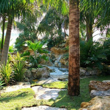 Landscape