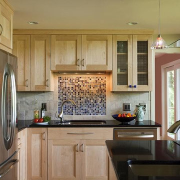 Contemporary Kitchen Cabinets Design Remodel
