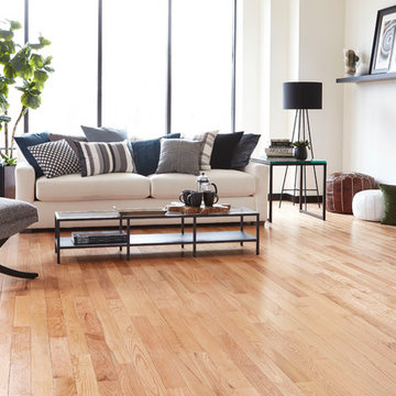 Modern, Bright Living Room - Piedmont Solid, Natural Red Oak Hardwood