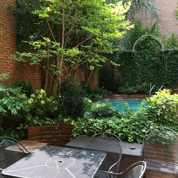 Garden and patio design and plantings