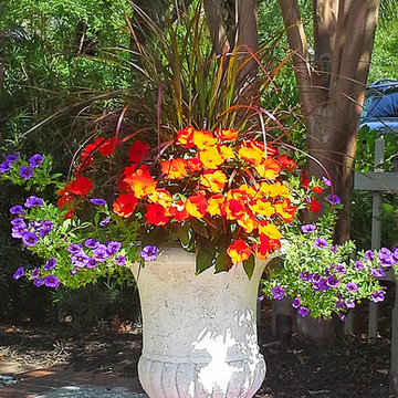 Daniel Island Landscaping Enhancements & Maintenance