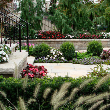Planting and Maintenance