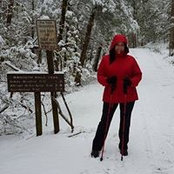 Foto von Melissa Howard