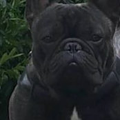 Foto von Fiorella Speranza
