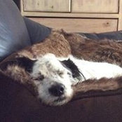 Leslie Ineman's photo