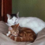 Foto von Sandy Piscitelli