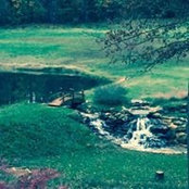 Suzy Stegmaier's photo