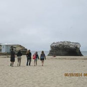Deb Douglas Toothaker's photo
