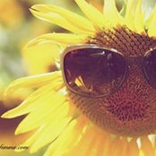 Jamie Beavers's photo
