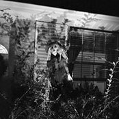 Maureen Jones's photo
