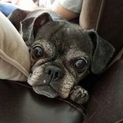 Jackie Becker's photo