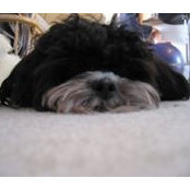 Theodora Henry's photo
