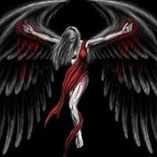 Christy Nelson's photo