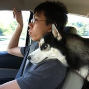 Kang Shu Tan's photo