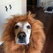 Kim Smith Nealon's photo